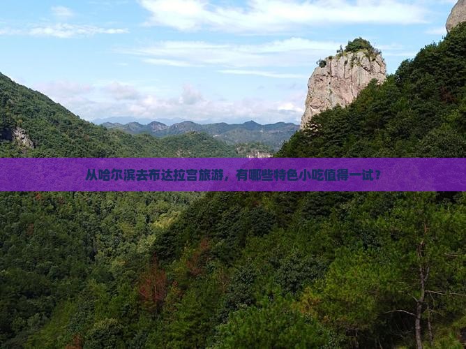 从哈尔滨去布达拉宫旅游，有哪些特色小吃值得一试？