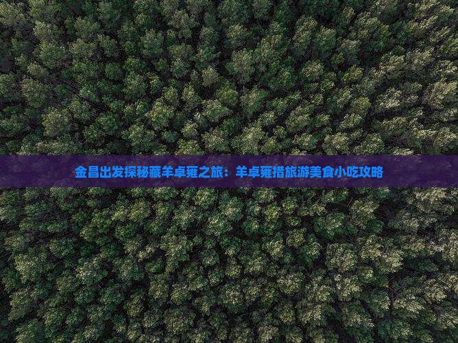 金昌出发探秘藏羊卓雍之旅：羊卓雍措旅游美食小吃攻略