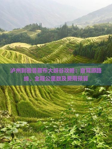 泸州到雅鲁藏布大峡谷攻略：自驾游路线、全程公里数及费用预算