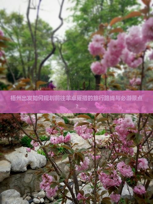 梧州出发如何规划前往羊卓雍措的旅行路线与必游景点？