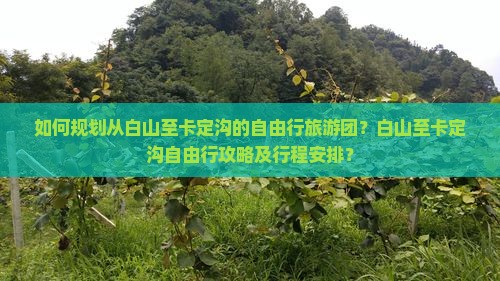 如何规划从白山至卡定沟的自由行旅游团？白山至卡定沟自由行攻略及行程安排？