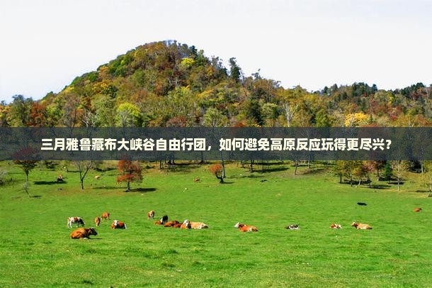 三月雅鲁藏布大峡谷自由行团，如何避免高原反应玩得更尽兴？
