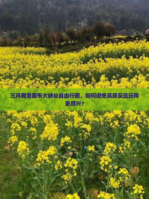 三月雅鲁藏布大峡谷自由行团，如何避免高原反应玩得更尽兴？