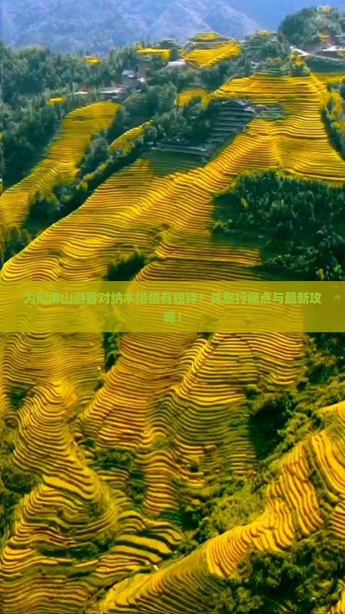 为何佛山游客对纳木措情有独钟？其旅行痛点与最新攻略！