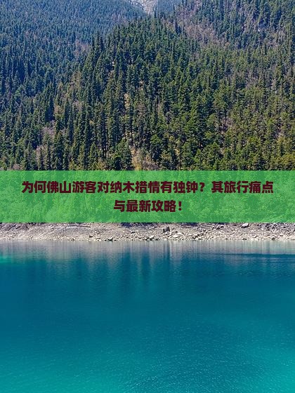 为何佛山游客对纳木措情有独钟？其旅行痛点与最新攻略！