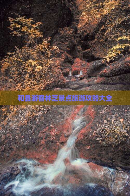 和县游客林芝景点旅游攻略大全
