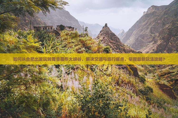 如何从合肥出发玩转雅鲁藏布大峡谷，解决交通与旅行痛点，掌握最新玩法攻略？