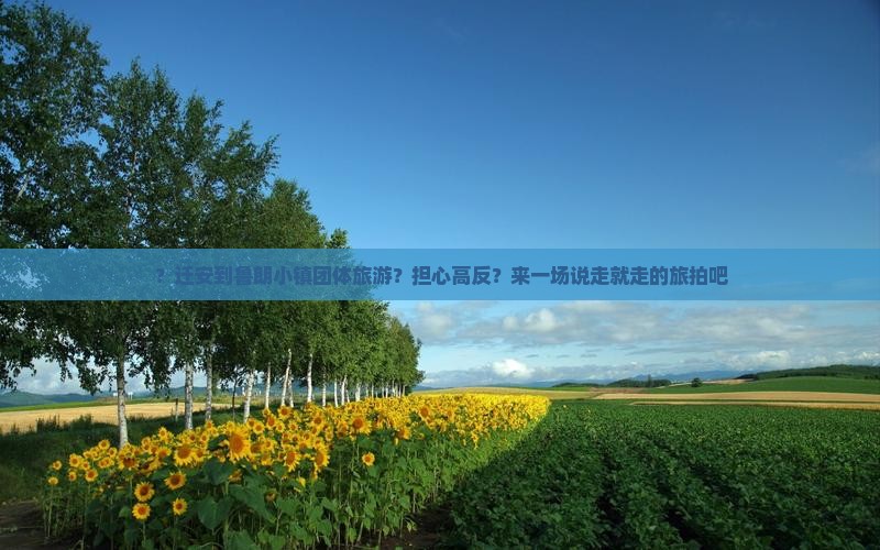？迁安到鲁朗小镇团体旅游？担心高反？来一场说走就走的旅拍吧