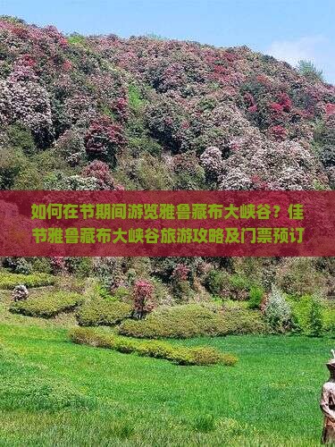如何在节期间游览雅鲁藏布大峡谷？佳节雅鲁藏布大峡谷旅游攻略及门票预订指南