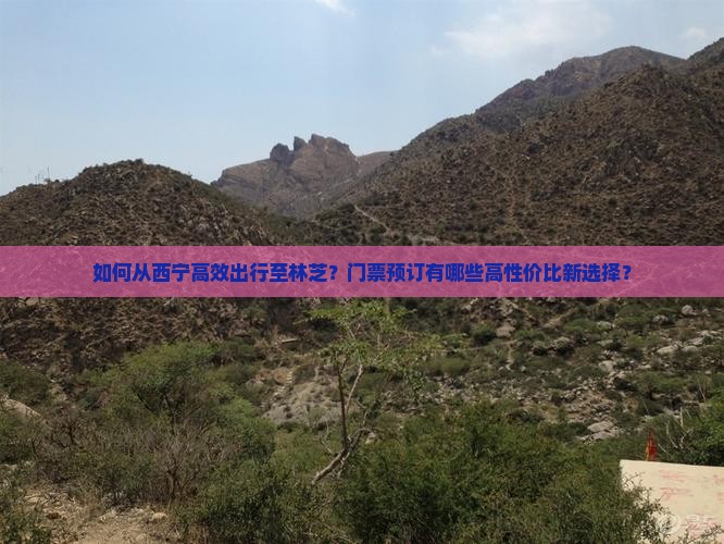 如何从西宁高效出行至林芝？门票预订有哪些高性价比新选择？