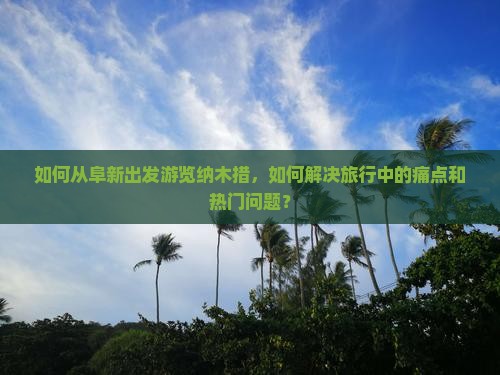 如何从阜新出发游览纳木措，如何解决旅行中的痛点和热门问题？