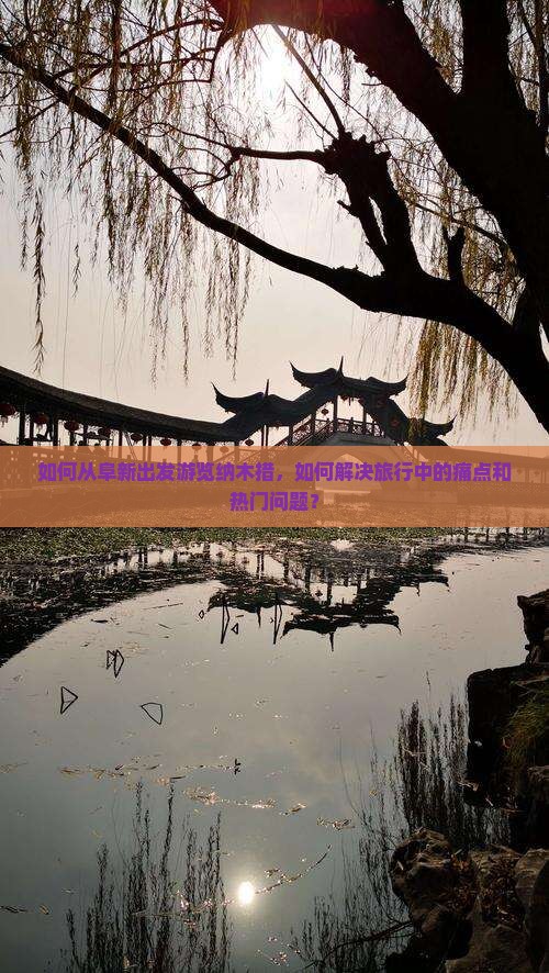 如何从阜新出发游览纳木措，如何解决旅行中的痛点和热门问题？