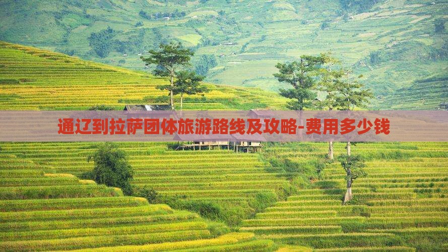 通辽到拉萨团体旅游路线及攻略-费用多少钱