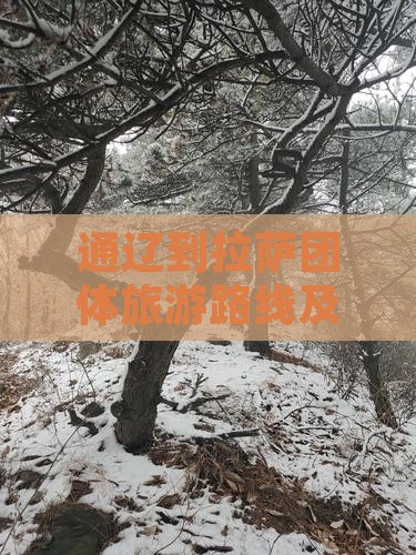 通辽到拉萨团体旅游路线及攻略-费用多少钱