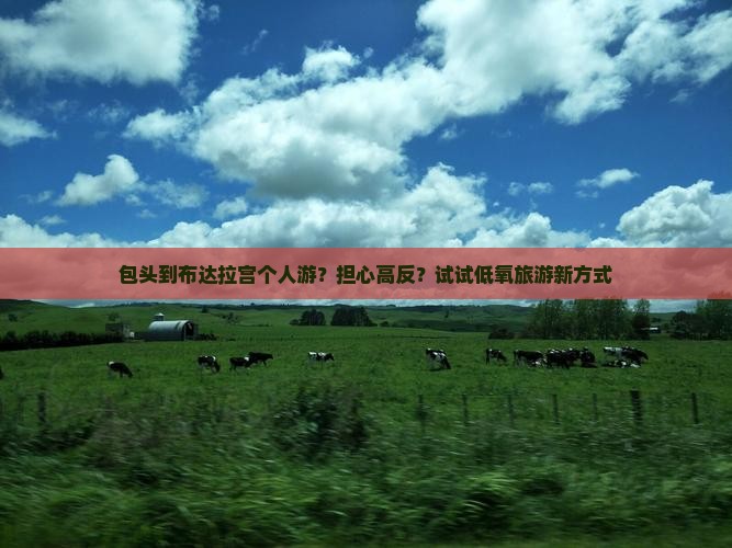 包头到布达拉宫个人游？担心高反？试试低氧旅游新方式