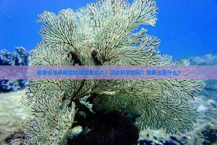 淮南去羊卓雍措旅游需要多久？沿途风景如何？需要注意什么？