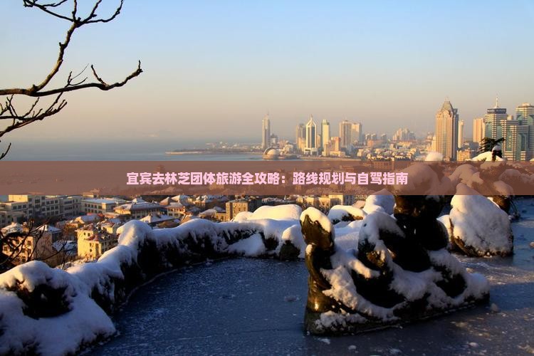 宜宾去林芝团体旅游全攻略：路线规划与自驾指南