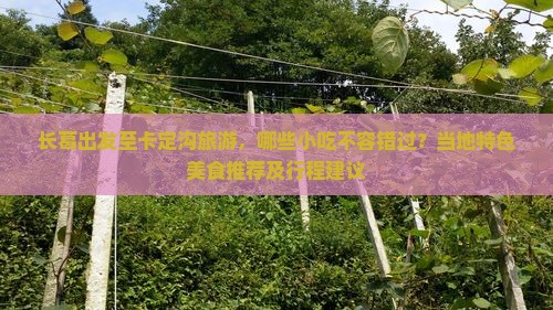 长葛出发至卡定沟旅游，哪些小吃不容错过？当地特色美食推荐及行程建议