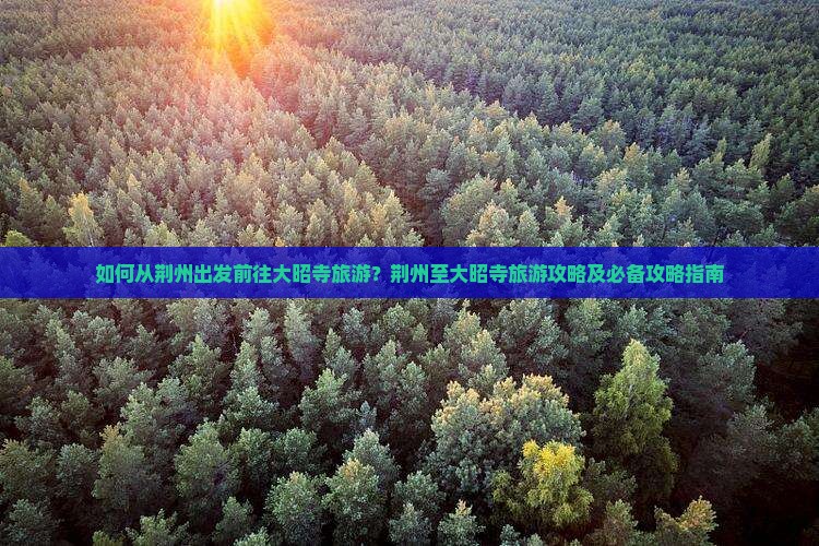 如何从荆州出发前往大昭寺旅游？荆州至大昭寺旅游攻略及必备攻略指南