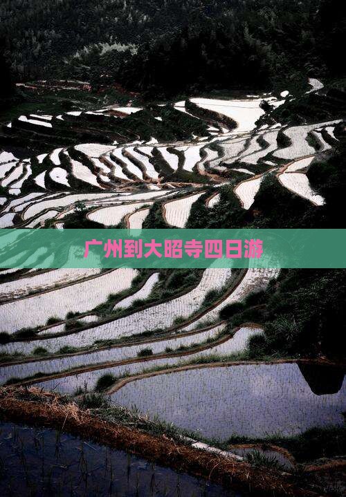 广州到大昭寺四日游