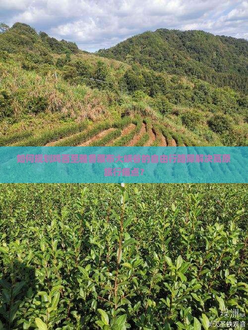 如何规划鸡西至雅鲁藏布大峡谷的自由行路犀解决高原旅行痛点？