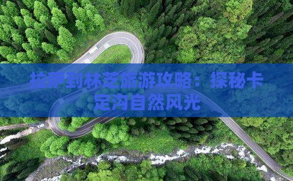 拉萨到林芝旅游攻略：探秘卡定沟自然风光