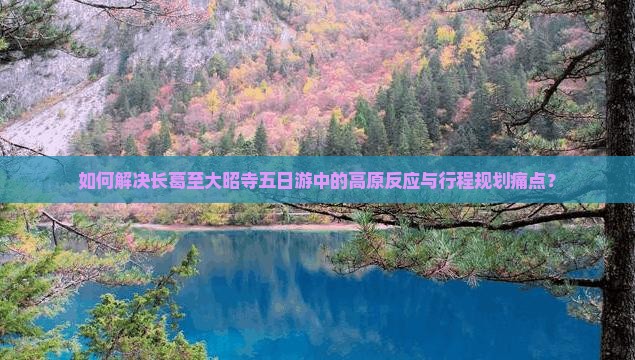 如何解决长葛至大昭寺五日游中的高原反应与行程规划痛点？