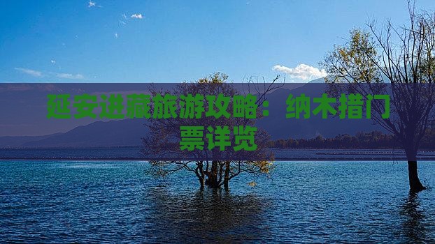 延安进藏旅游攻略：纳木措门票详览