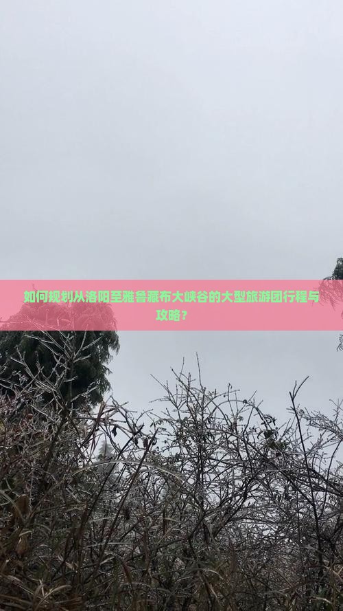 如何规划从洛阳至雅鲁藏布大峡谷的大型旅游团行程与攻略？