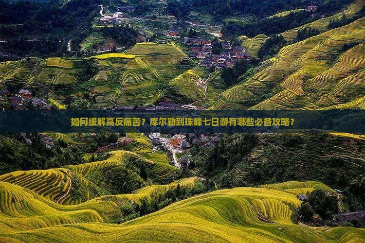 如何缓解高反痛苦？库尔勒到珠峰七日游有哪些必备攻略？