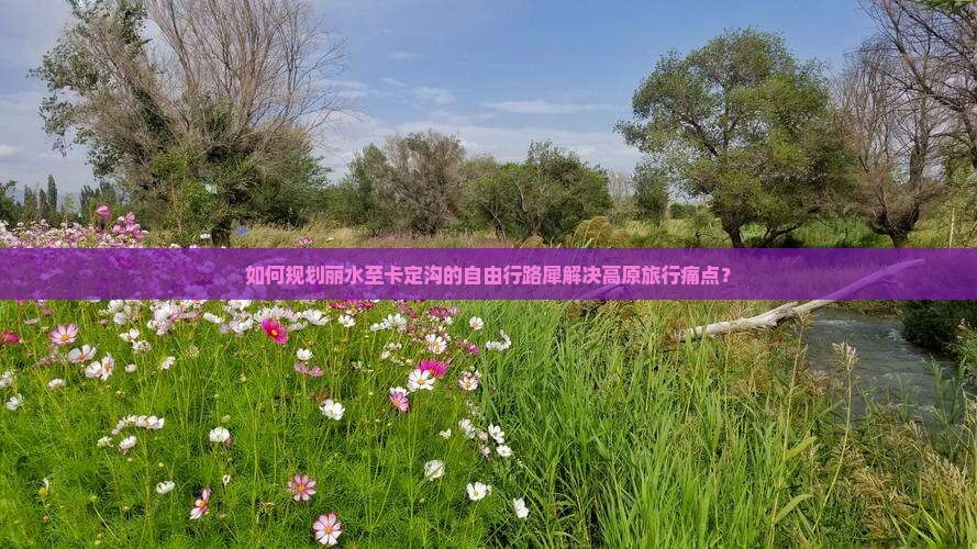 如何规划丽水至卡定沟的自由行路犀解决高原旅行痛点？