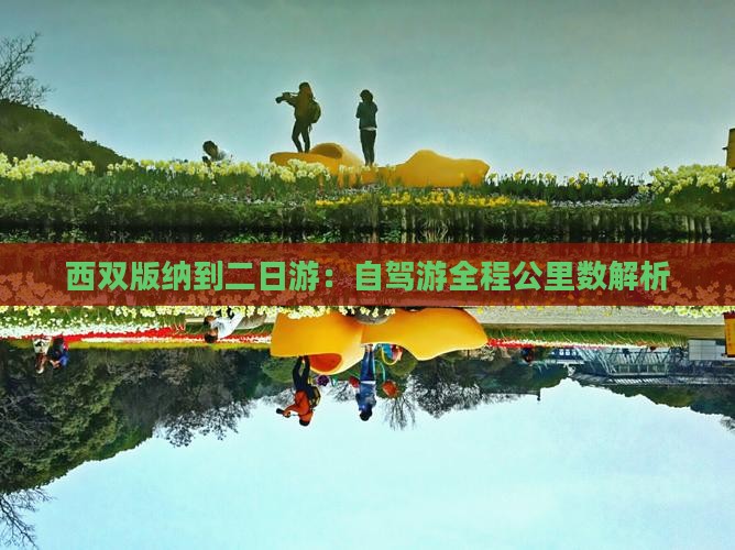 西双版纳到二日游：自驾游全程公里数解析