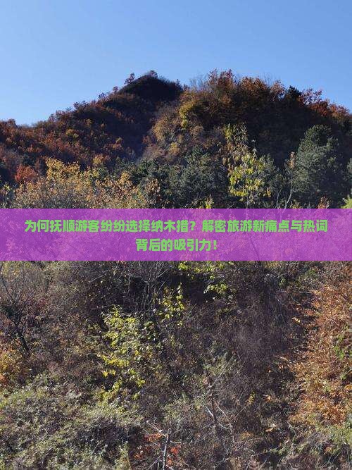 为何抚顺游客纷纷选择纳木措？解密旅游新痛点与热词背后的吸引力！