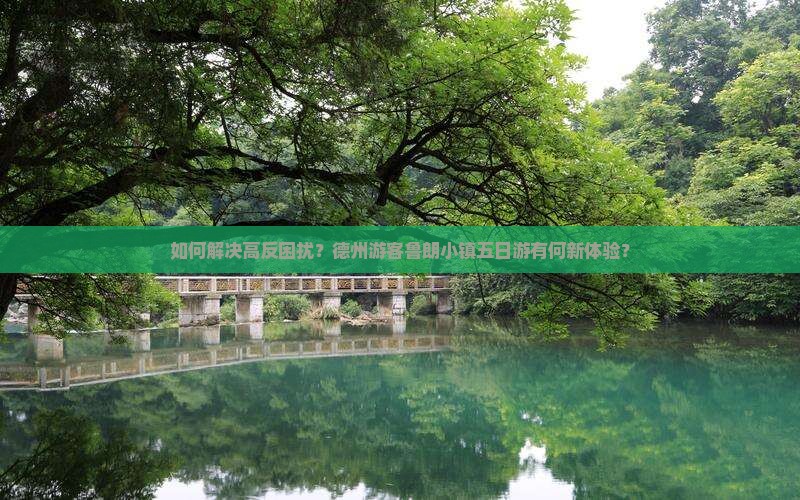 如何解决高反困扰？德州游客鲁朗小镇五日游有何新体验？