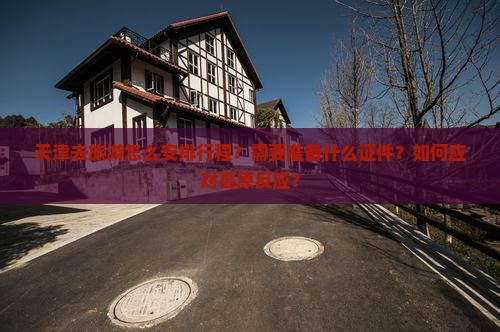 天津去旅游怎么安排行程？需要准备什么证件？如何应对高原反应？