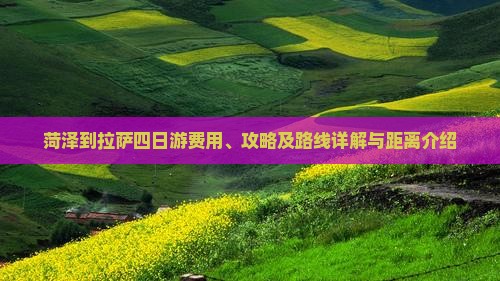 菏泽到拉萨四日游费用、攻略及路线详解与距离介绍