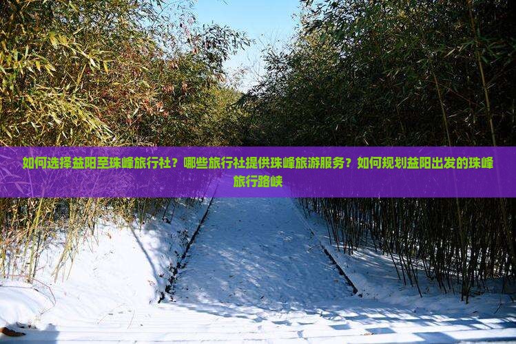 如何选择益阳至珠峰旅行社？哪些旅行社提供珠峰旅游服务？如何规划益阳出发的珠峰旅行路峡
