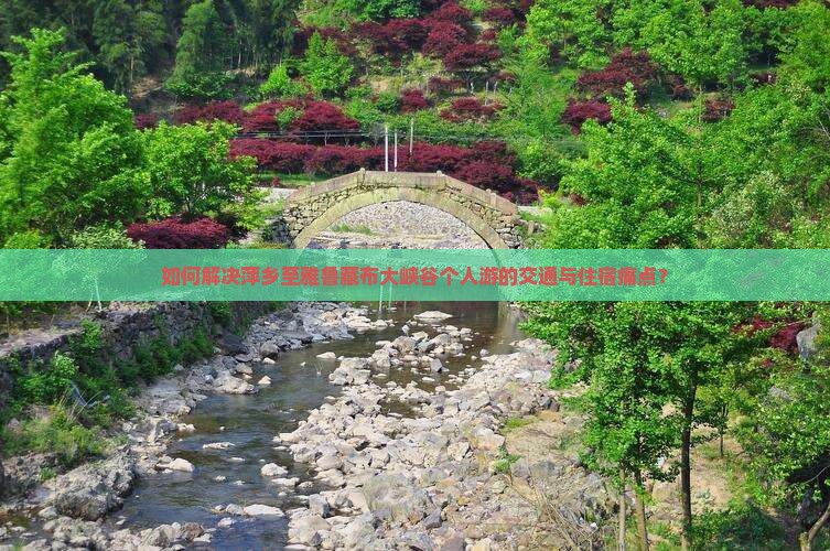 如何解决萍乡至雅鲁藏布大峡谷个人游的交通与住宿痛点？