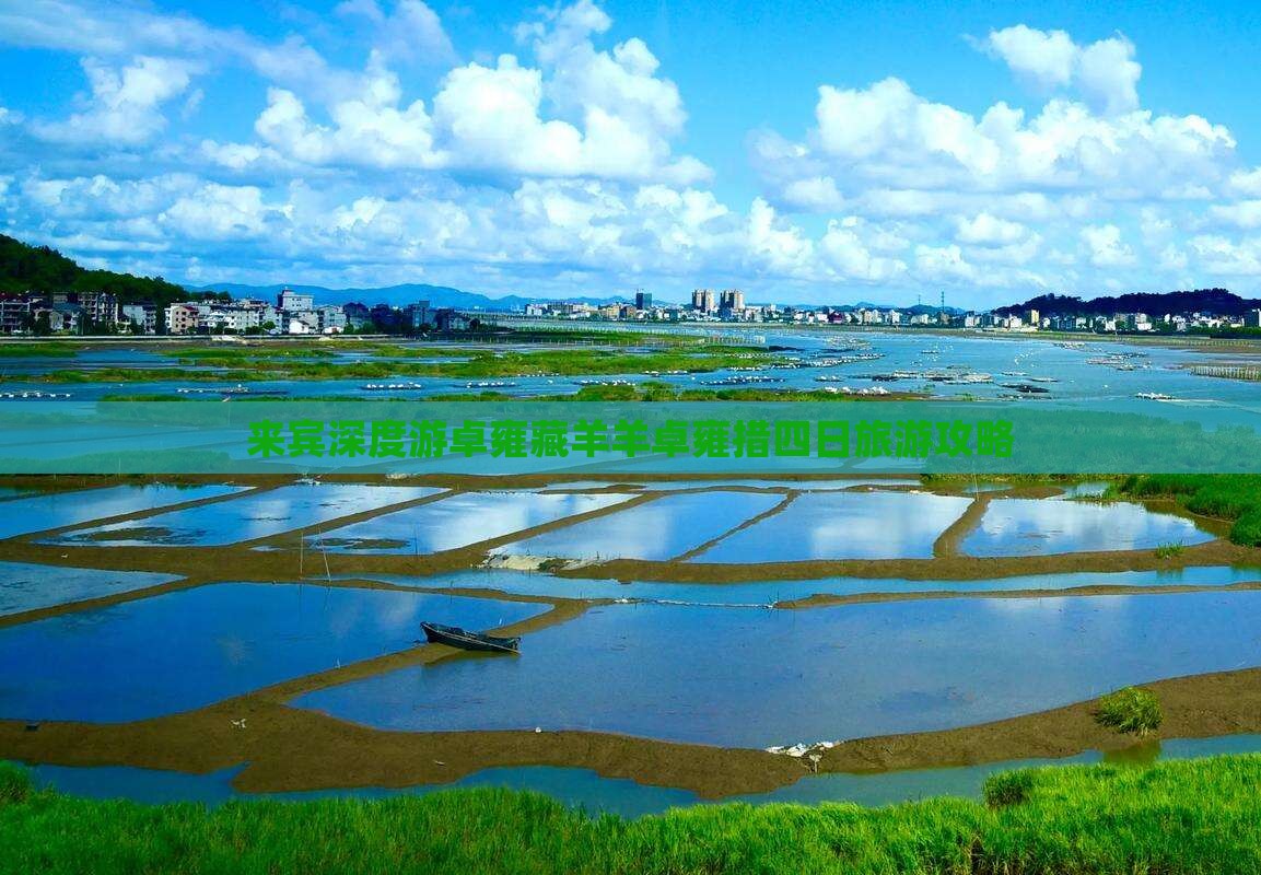 来宾深度游卓雍藏羊羊卓雍措四日旅游攻略