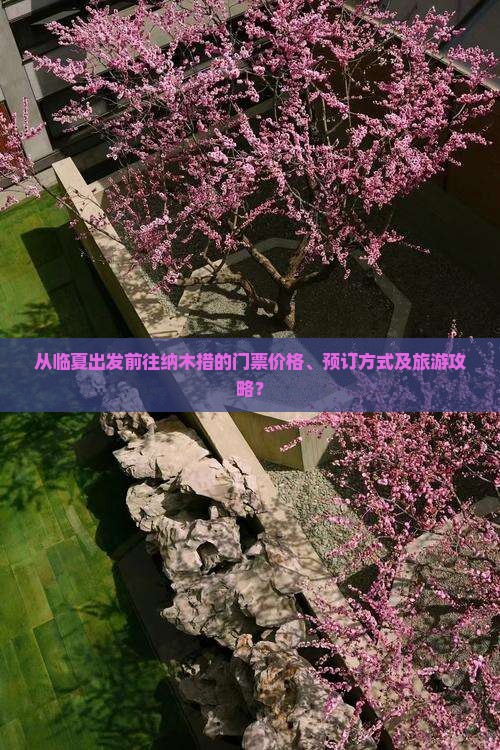 从临夏出发前往纳木措的门票价格、预订方式及旅游攻略？