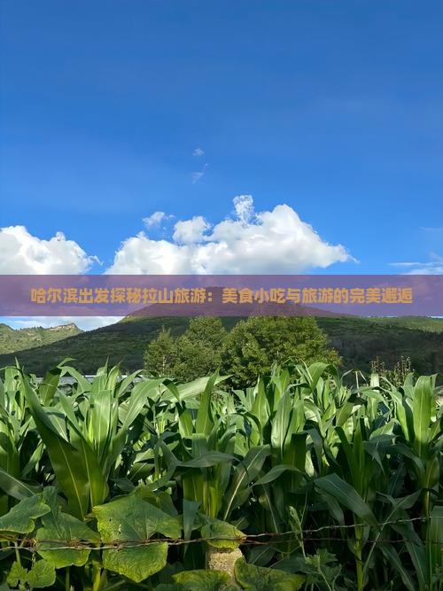 哈尔滨出发探秘拉山旅游：美食小吃与旅游的完美邂逅