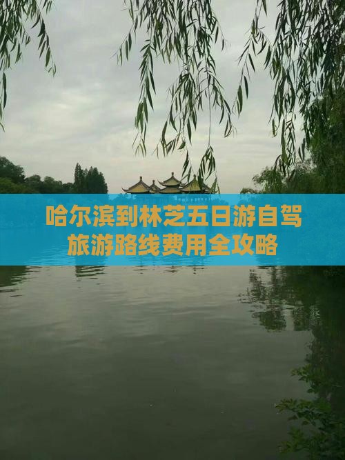 哈尔滨到林芝五日游自驾旅游路线费用全攻略