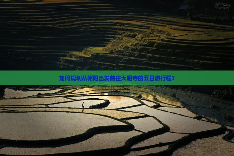 如何规划从朝阳出发前往大昭寺的五日游行程？