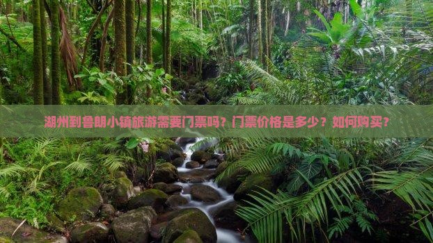 湖州到鲁朗小镇旅游需要门票吗？门票价格是多少？如何购买？