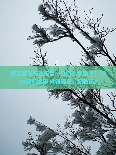 商丘到西藏布达拉宫一日