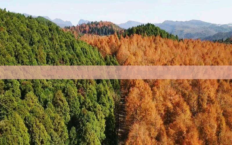 丽水到西藏纳木措自由团
