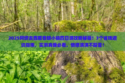 阿坝到西藏鲁朗小镇四日游