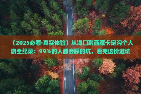 海口去西藏卡定沟个人游