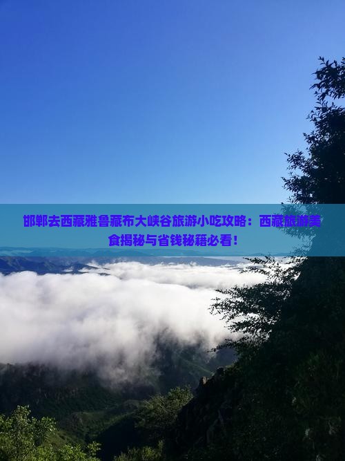 邯郸去西藏雅鲁藏布大峡谷旅游小吃