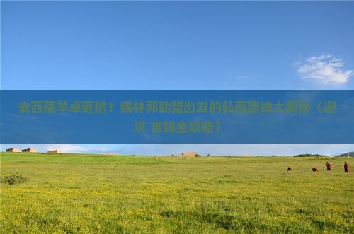 锡林郭勒盟去西藏羊卓雍措个人游